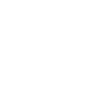 BnW Developments Logo